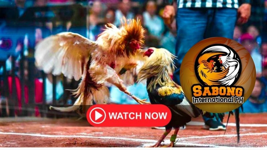 byu 777 casino legit jollibet casino free 100 no deposit bonus philippines apk